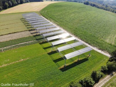 Das Bild zeigt gesonderte Photovoltaikmodule auf einer Grünfläche